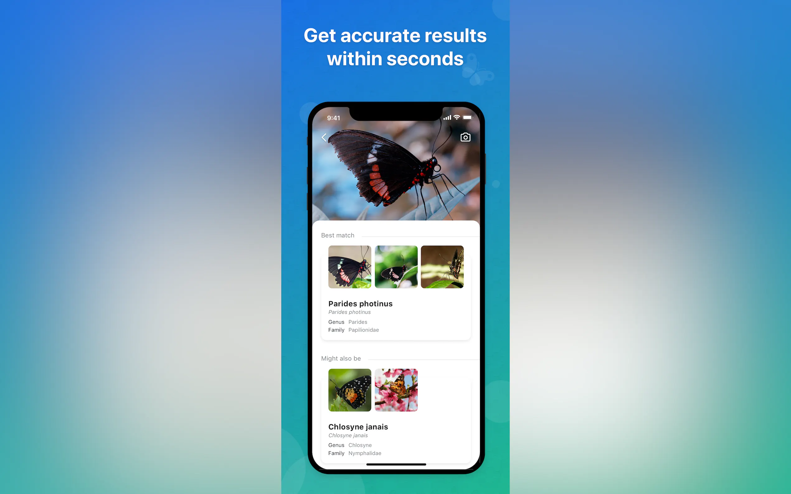Screenshot 3 of Picture Insect