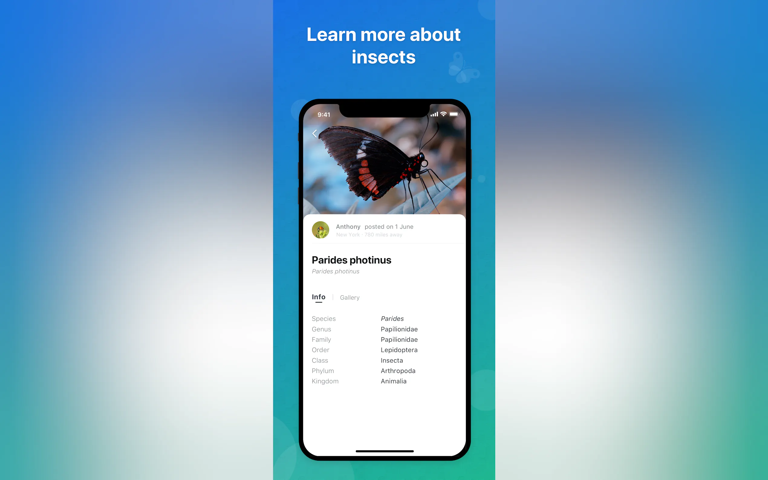 Screenshot 4 of Picture Insect