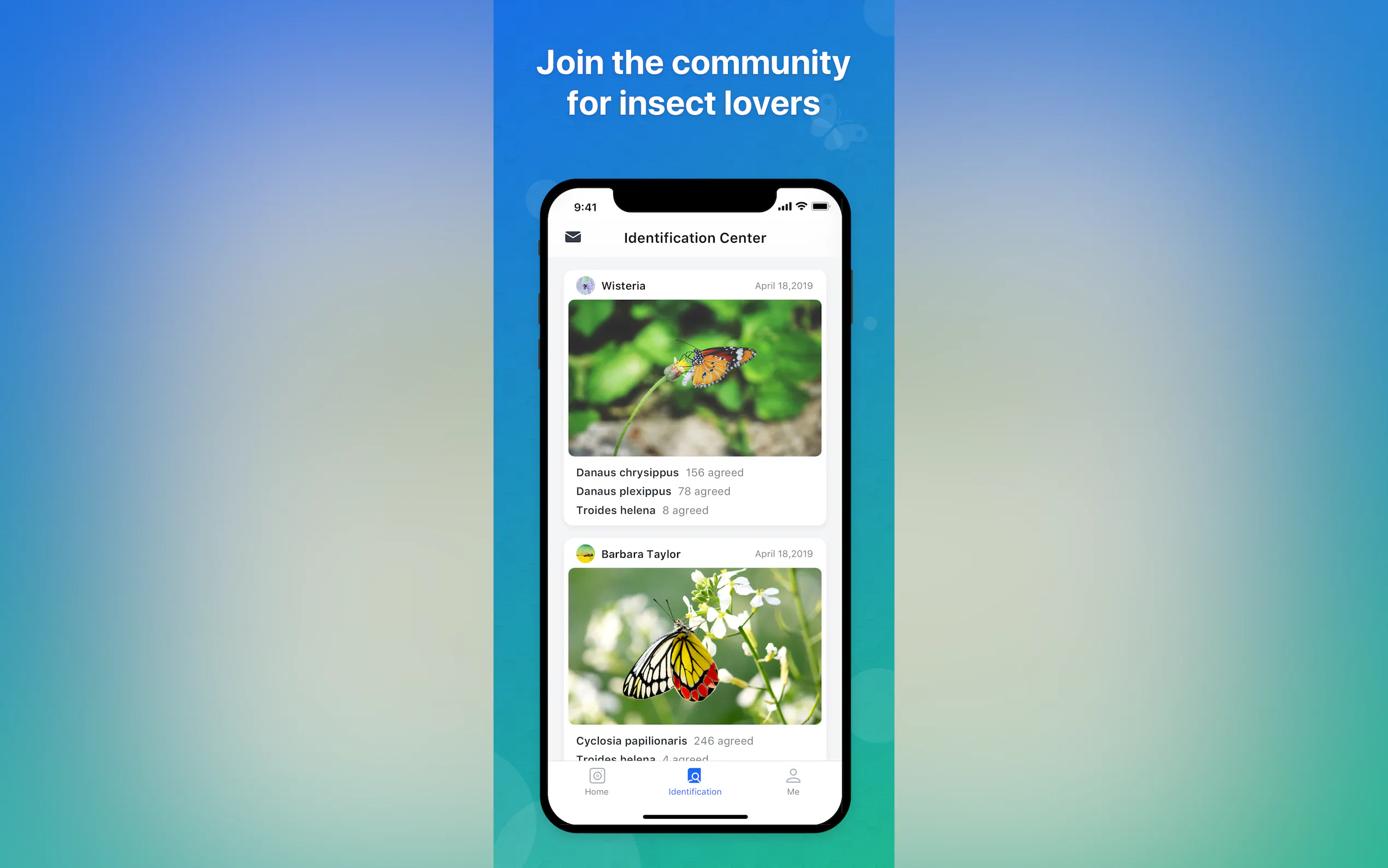 Screenshot 5 of Picture Insect