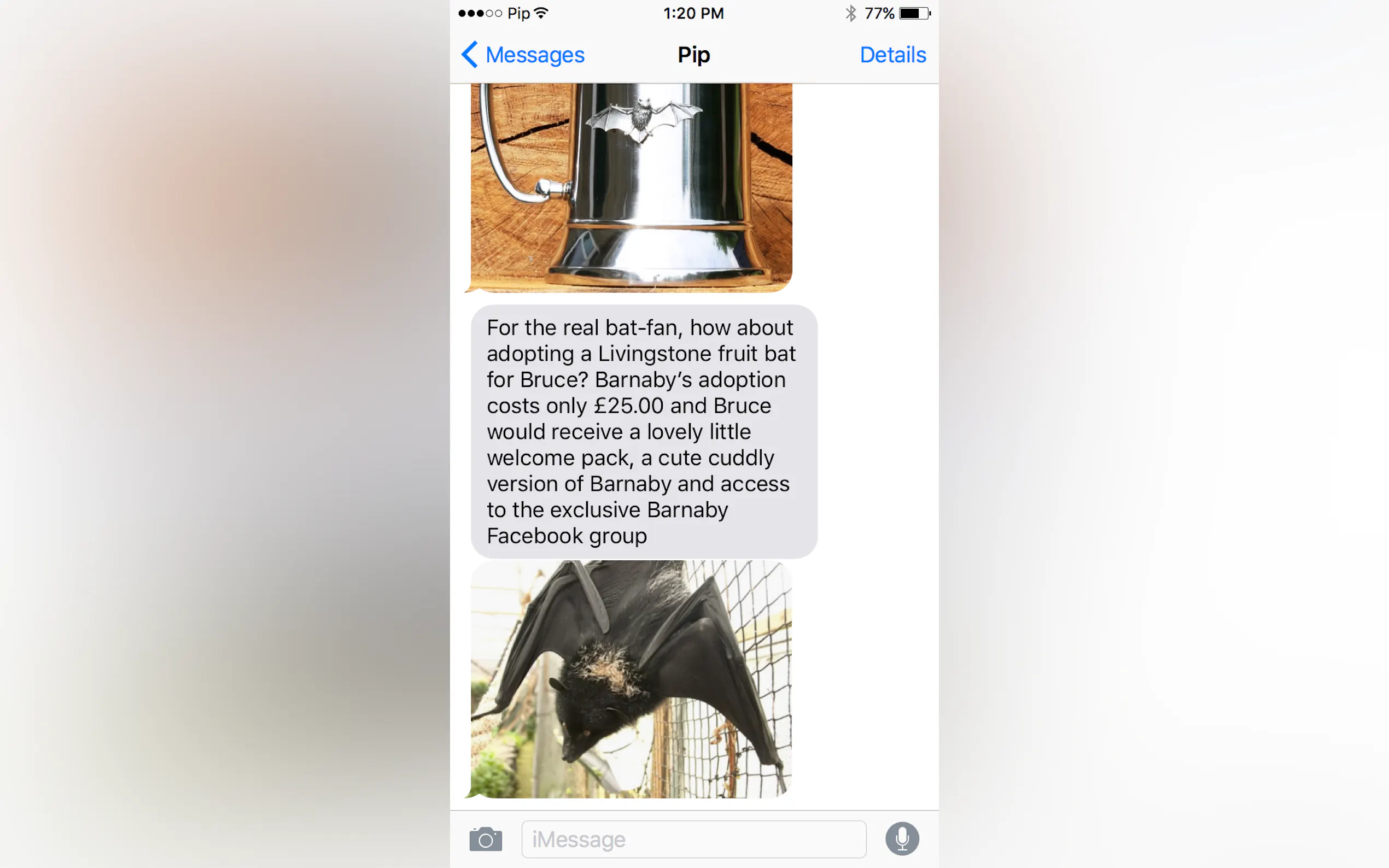 Screenshot 3 of Pip