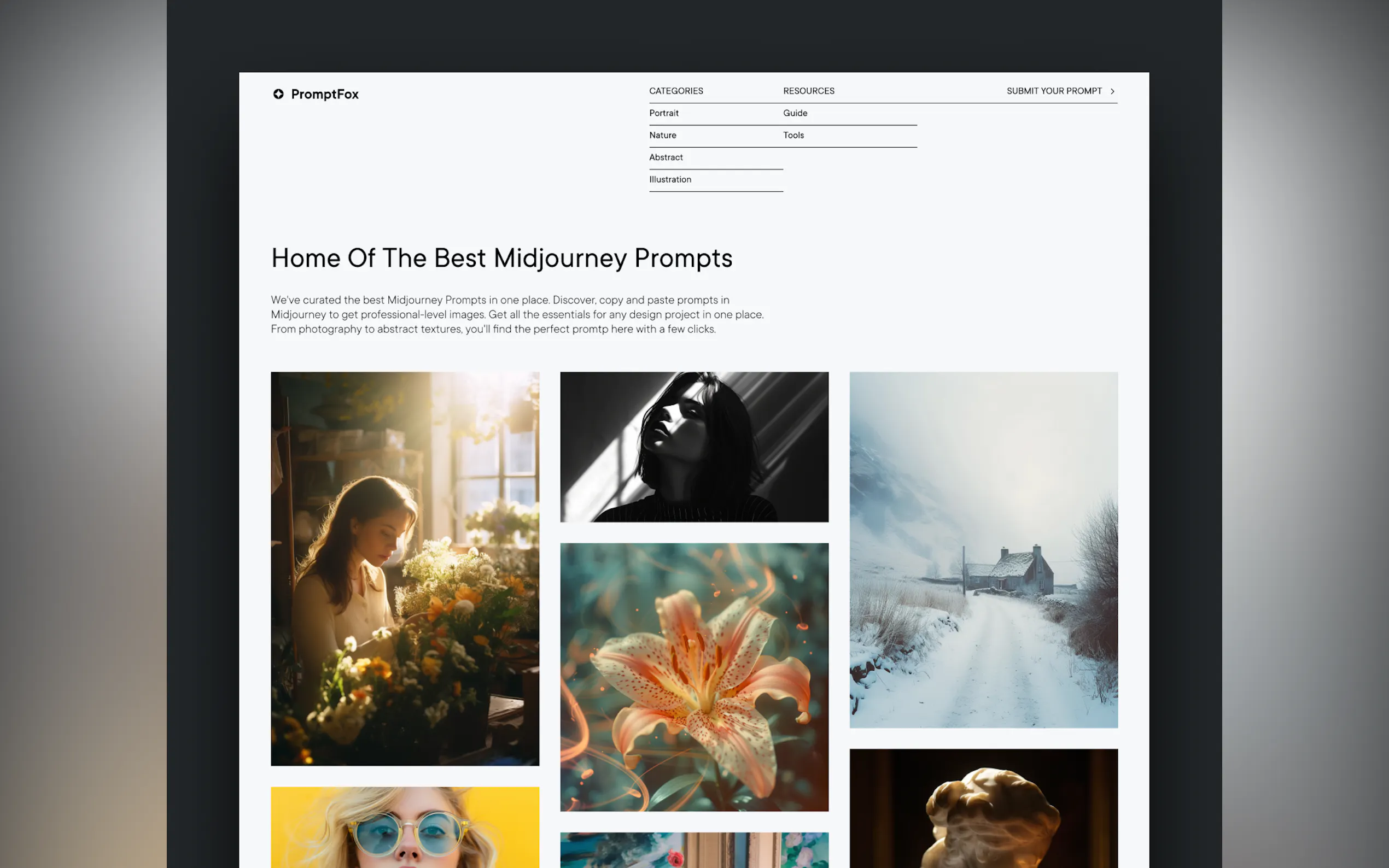 Screenshot 2 of Prompt Fox