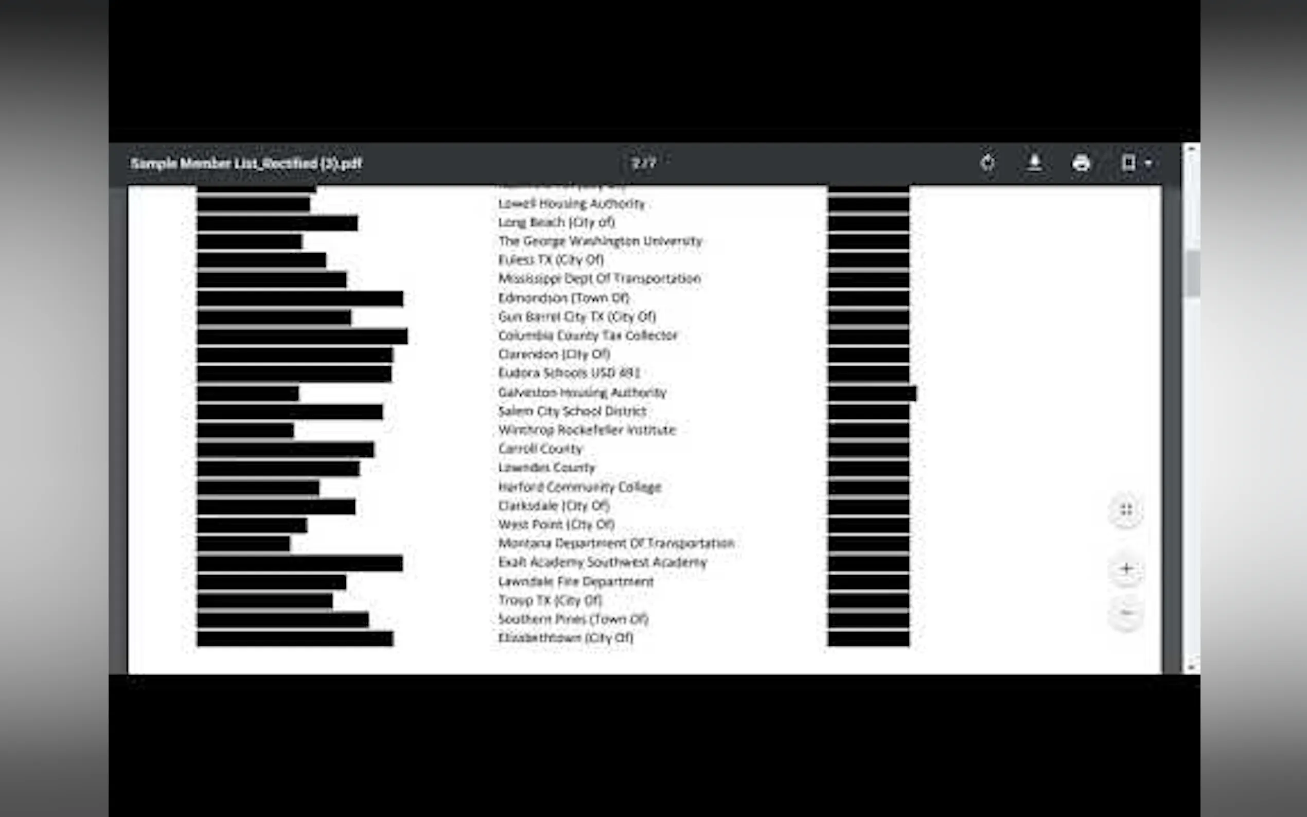 Rectify Redaction