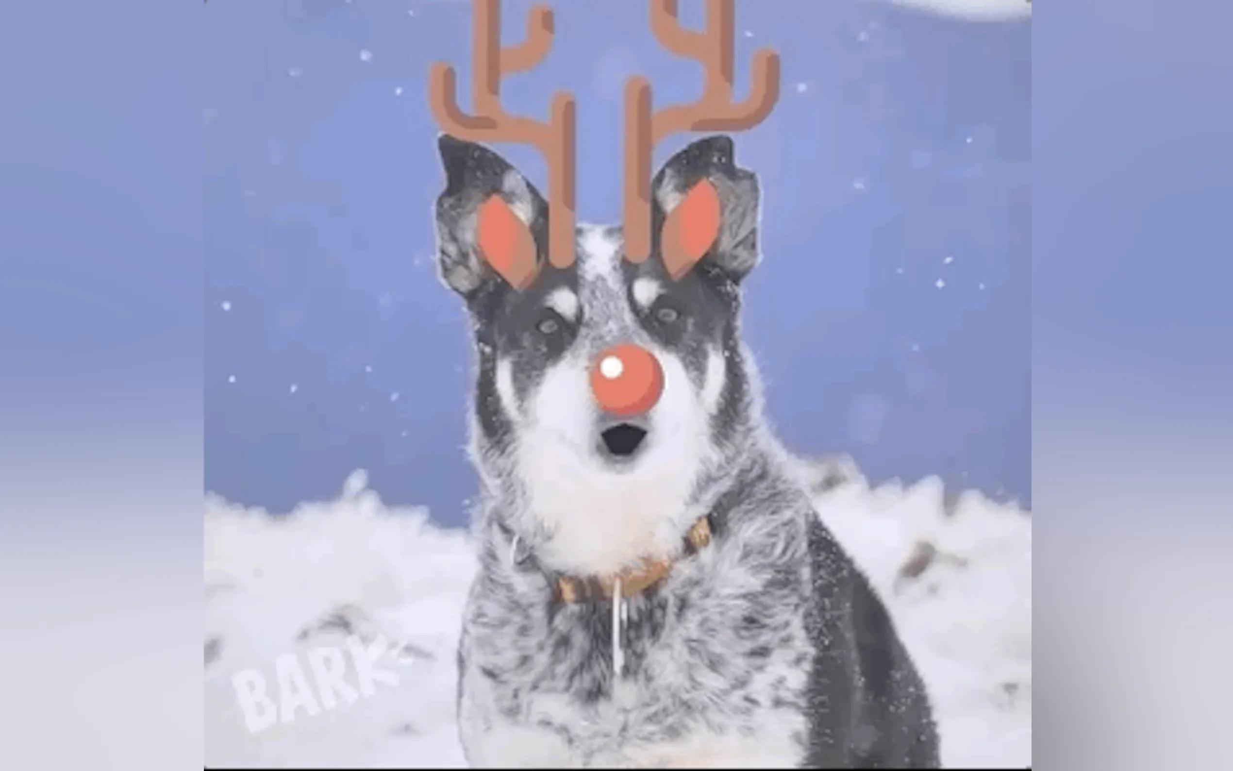Screenshot 2 of Say BARK!