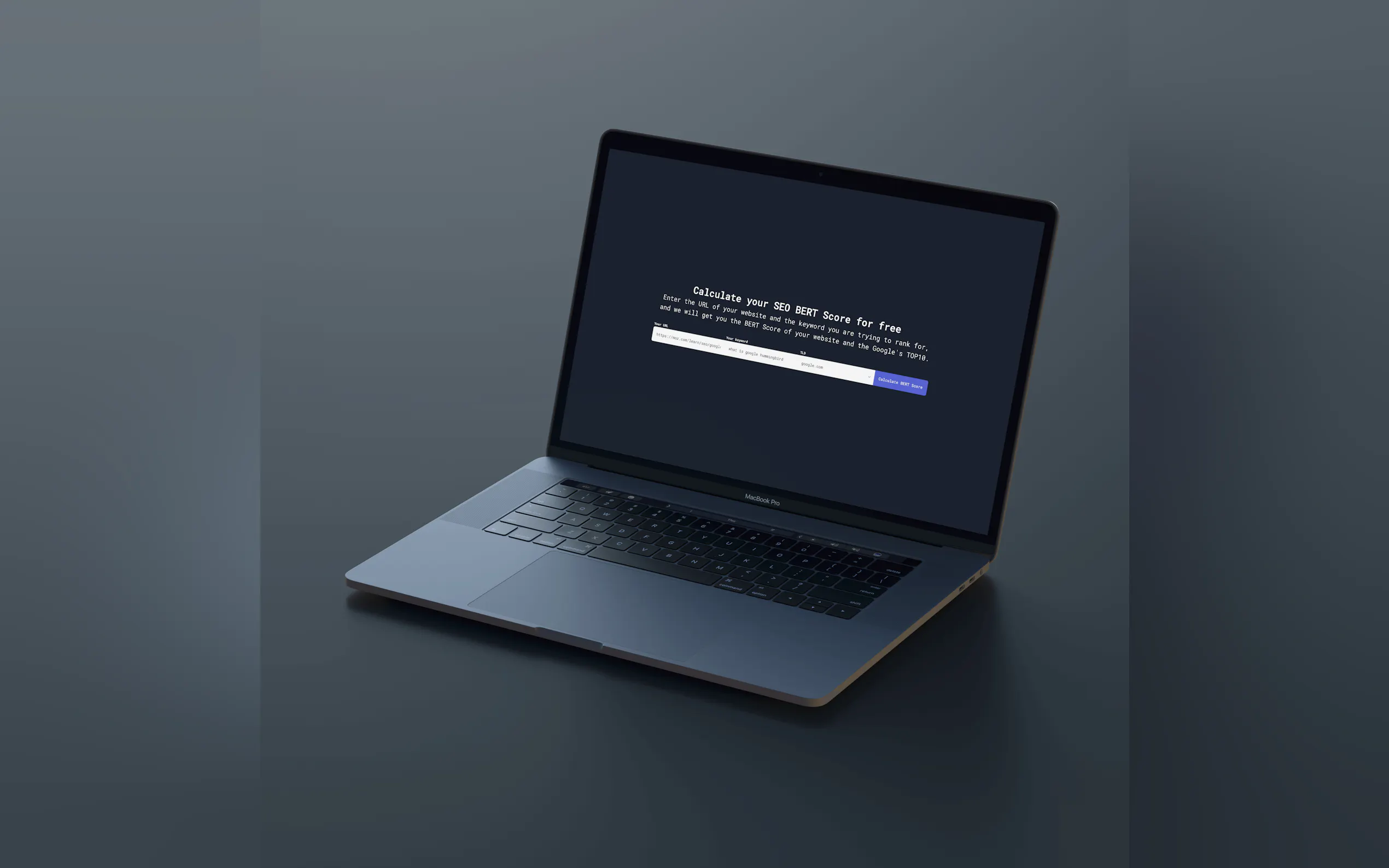 SEO BERT Calculator