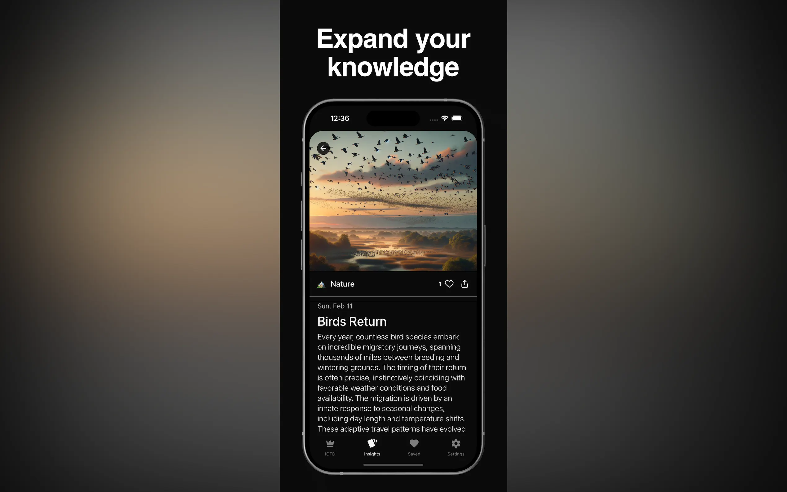 Screenshot 4 of Skaldic