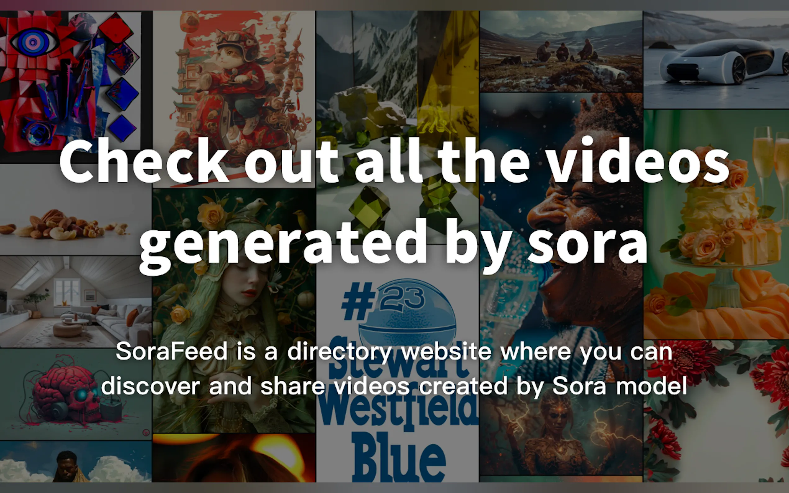 SoraFeed