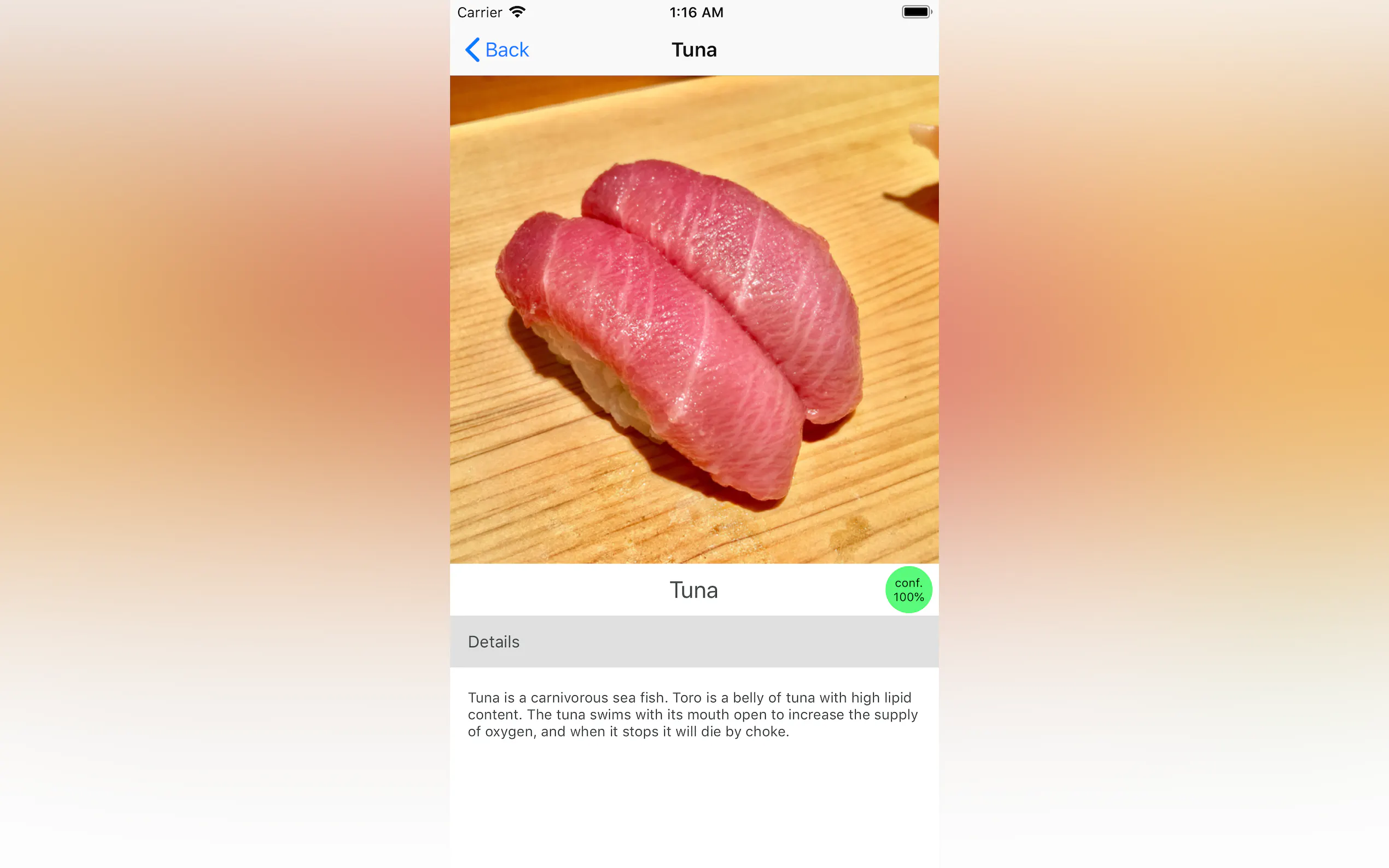 Screenshot 2 of Sushi Detector