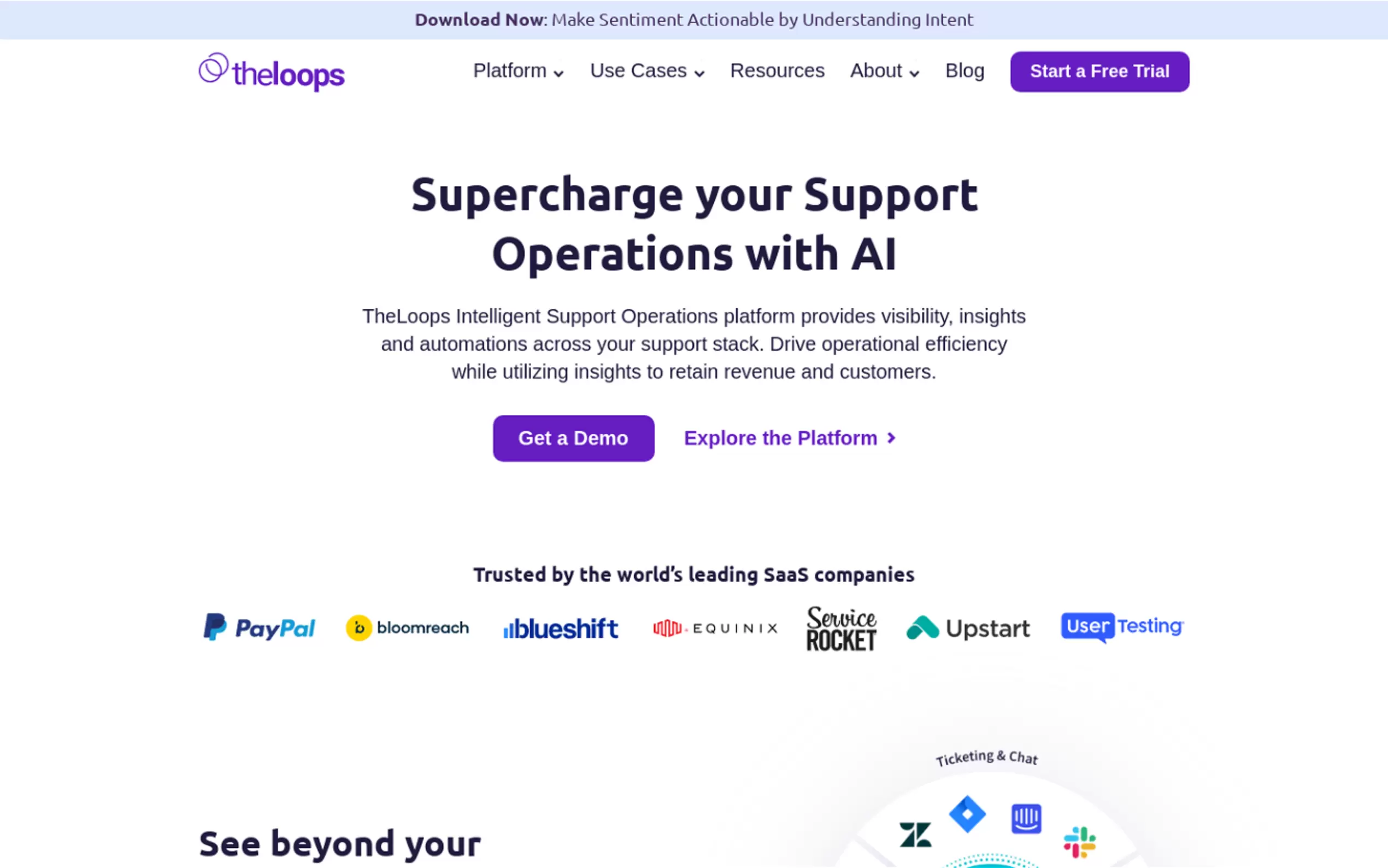 TheLoops