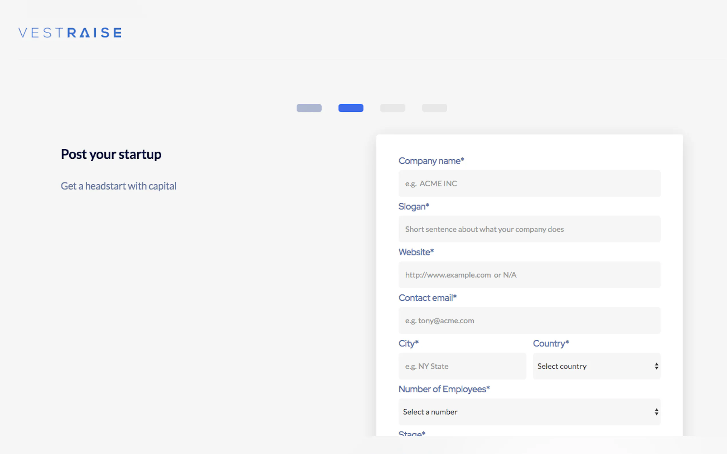 Screenshot 4 of VestRaise