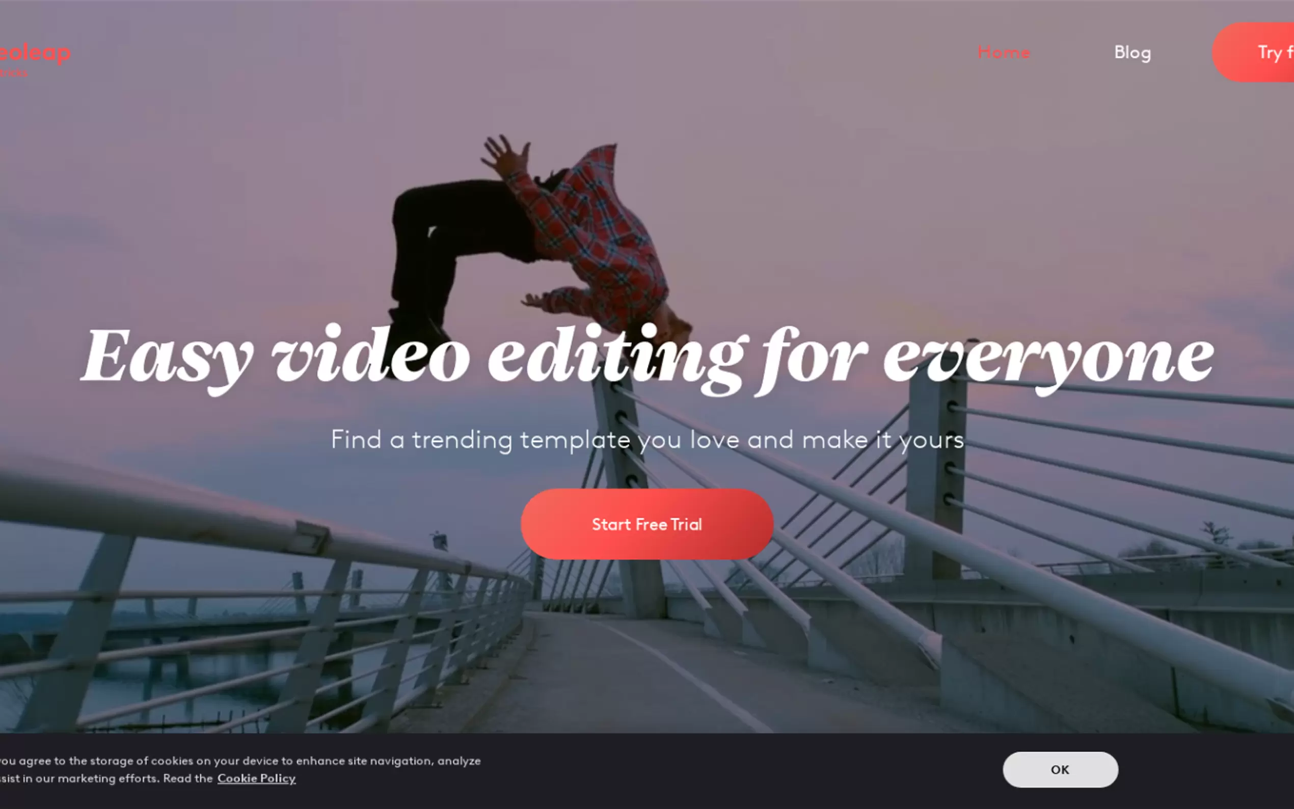 Videoleap