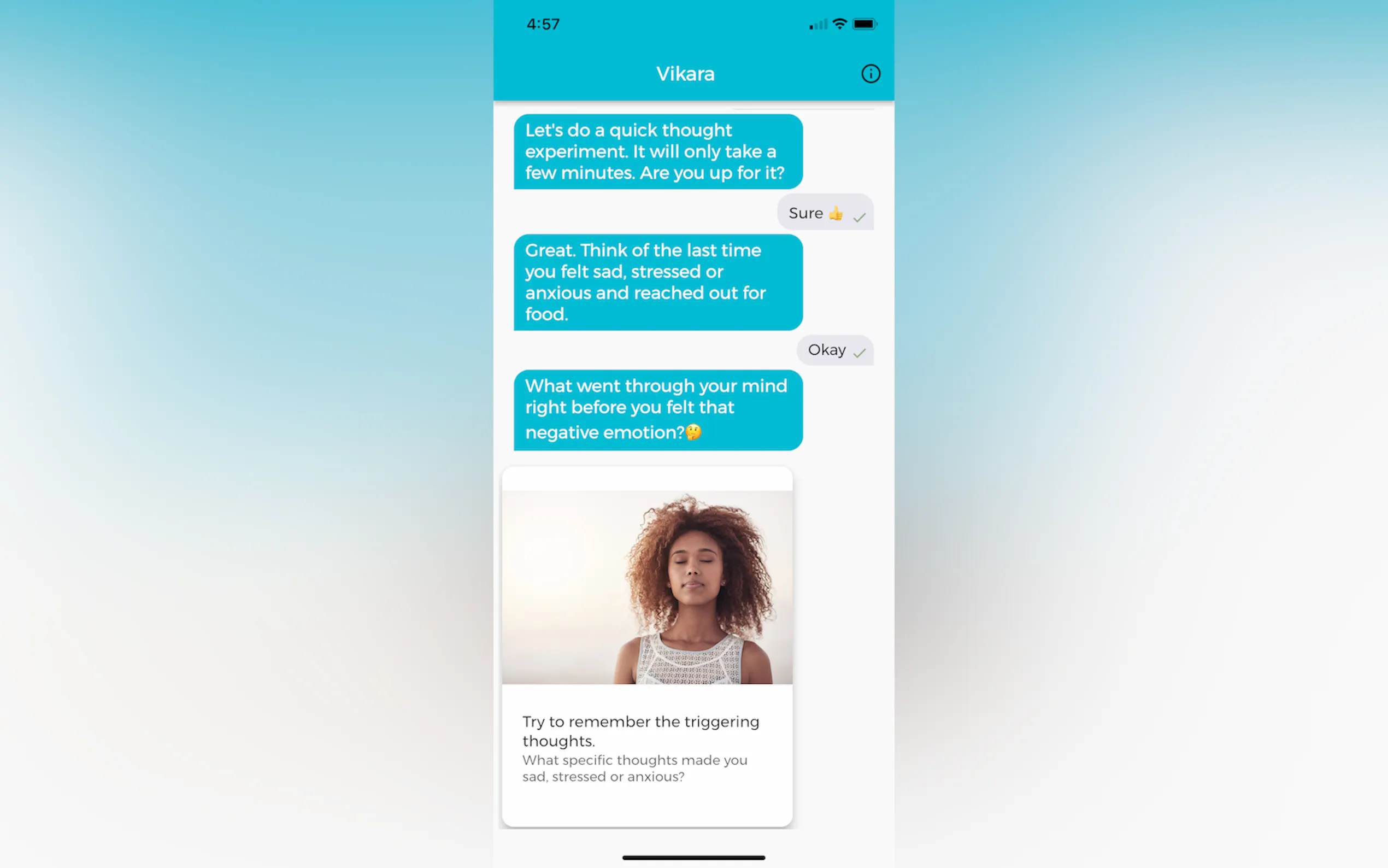 Screenshot 4 of Vikara