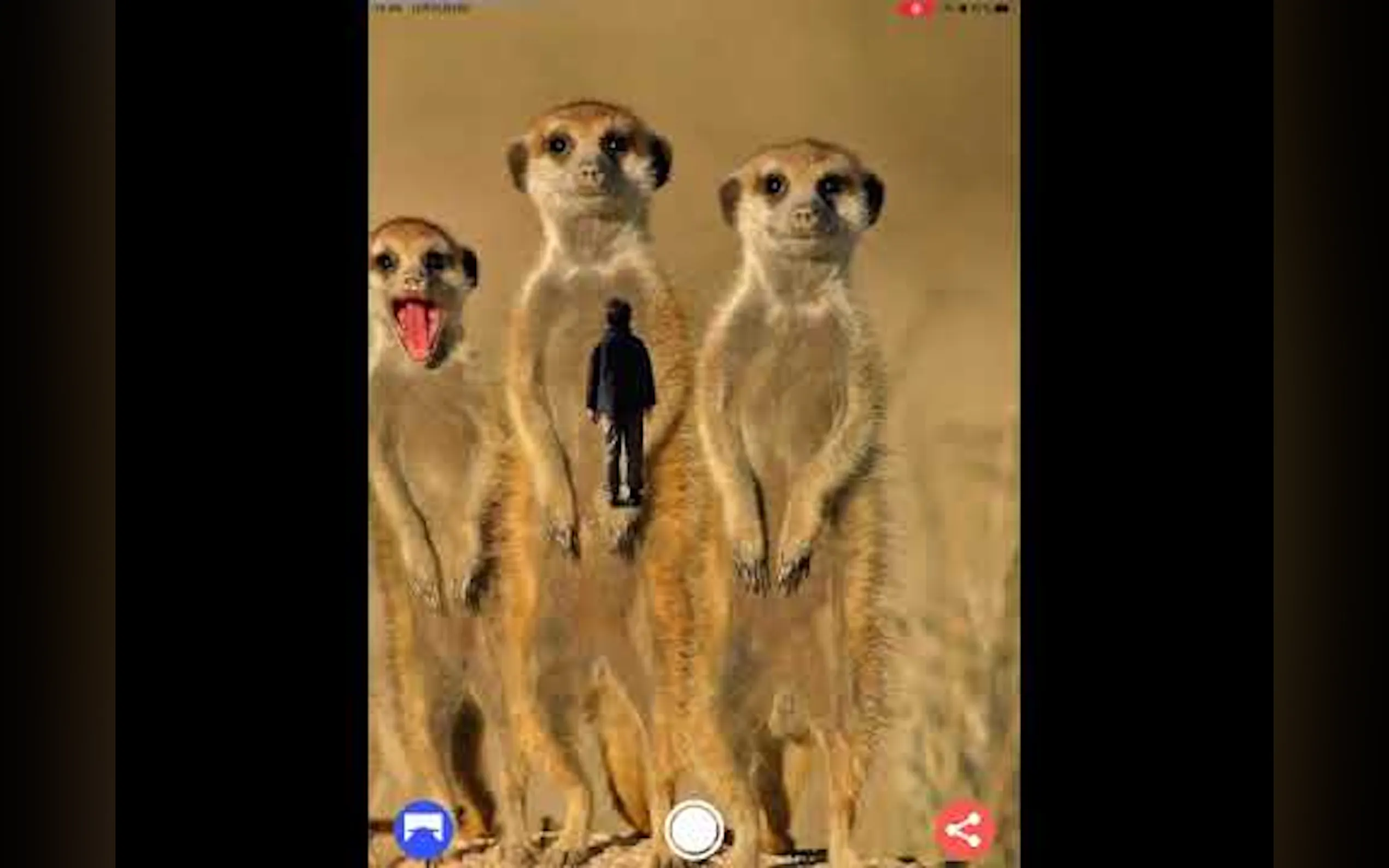 Virtual Backgrounds Camera