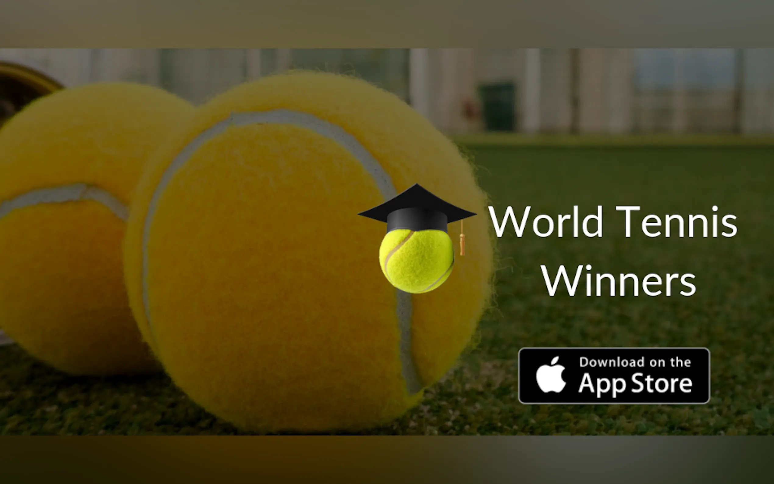 Screenshot 4 of World Tennis Winners